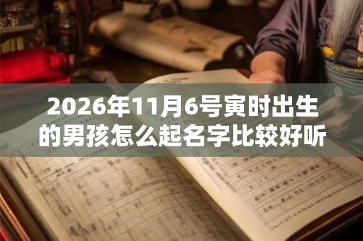 2026年11月6号寅时出生的男孩怎么起名字比较好听