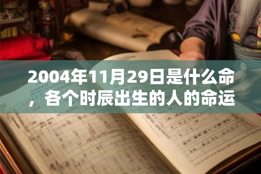 2004年11月29日是什么命,各个时辰出生的人的命运 2004年11月29日是什么命,各个时辰出生的人的命运
