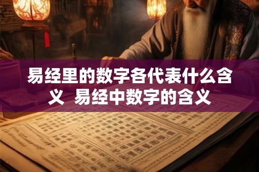 易经里的数字各代表什么含义  易经中数字的含义