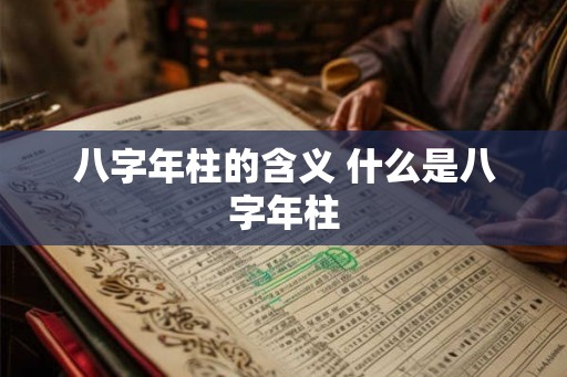 八字年柱的含义 什么是八字年柱