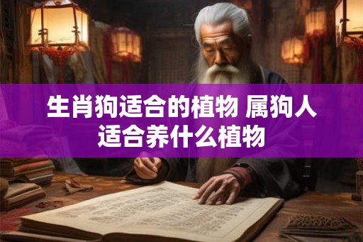 生肖狗适合的植物 属狗人适合养什么植物