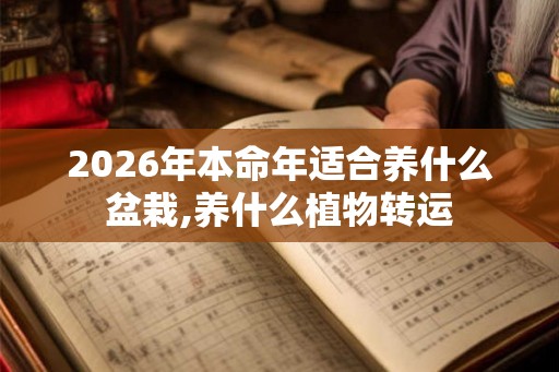2026年本命年适合养什么盆栽,养什么植物转运