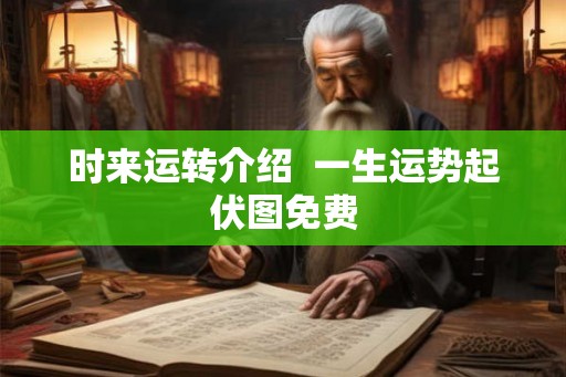 时来运转介绍  一生运势起伏图免费