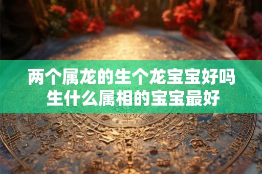 两个属龙的生个龙宝宝好吗 生什么属相的宝宝最好
