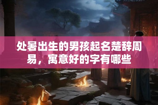 处暑出生的男孩起名楚辞周易，寓意好的字有哪些