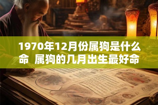 1970年12月份属狗是什么命  属狗的几月出生最好命