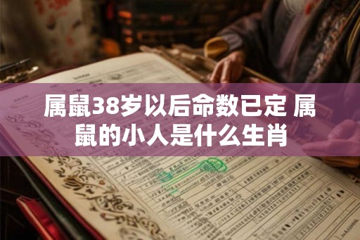 属鼠38岁以后命数已定 属鼠的小人是什么生肖