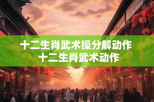 十二生肖武术操分解动作  十二生肖武术动作