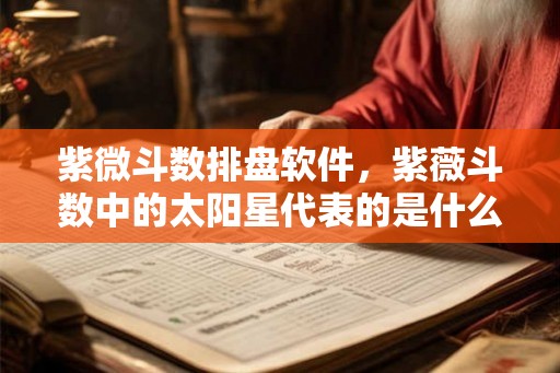 紫微斗数排盘软件，紫薇斗数中的太阳星代表的是什么？