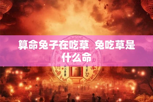 算命兔子在吃草  兔吃草是什么命