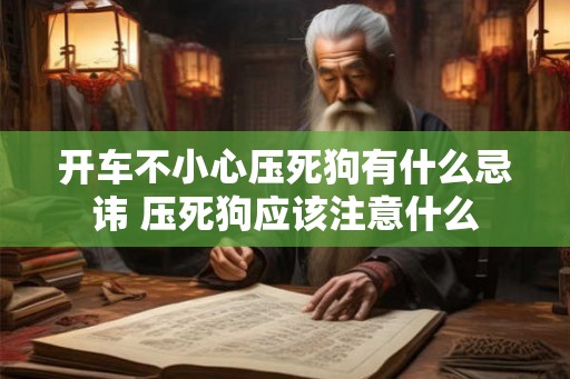 开车不小心压死狗有什么忌讳 压死狗应该注意什么 开车不小心压死狗有什么忌讳 压死狗应该注意什么