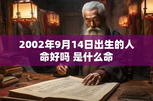 2002年9月14日出生的人命好吗 是什么命