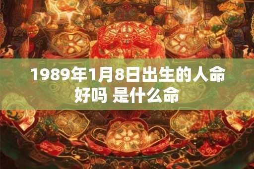 1989年1月8日出生的人命好吗 是什么命