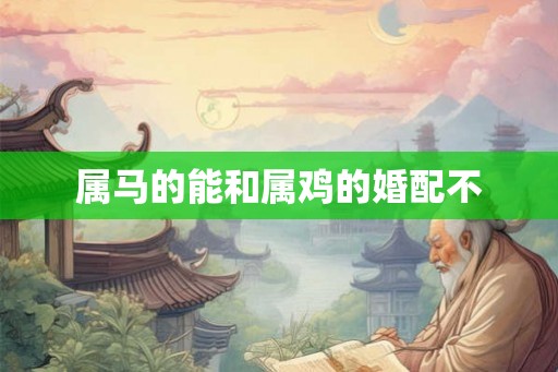 属马的能和属鸡的婚配不