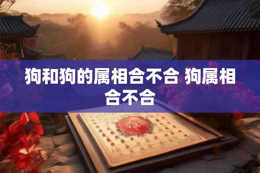 狗和狗的属相合不合 狗属相合不合 狗和狗的属相合不合 狗属相合不合