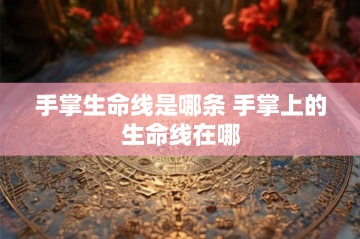 手掌生命线是哪条 手掌上的生命线在哪