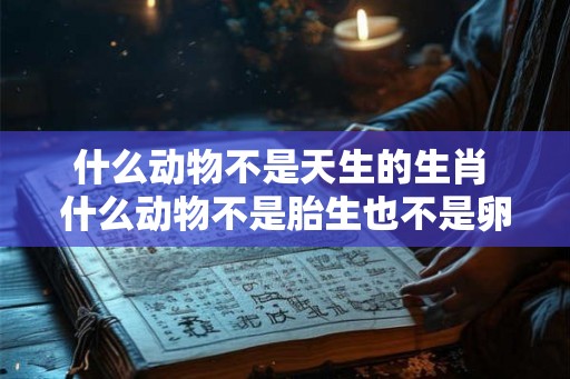 什么动物不是天生的生肖 什么动物不是胎生也不是卵生 什么动物不是天生的生肖 什么动物不是胎生也不是卵生