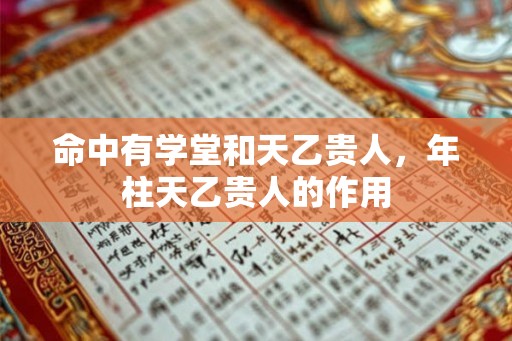 命中有学堂和天乙贵人，年柱天乙贵人的作用