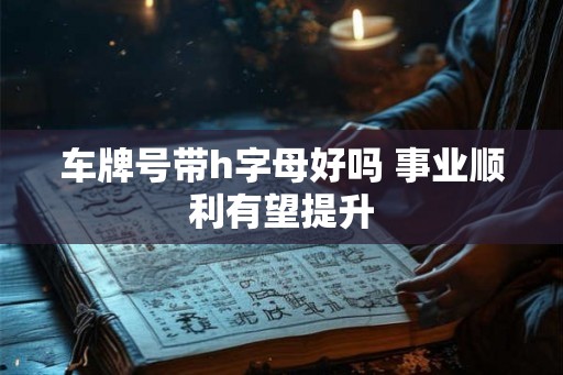 车牌号带h字母好吗 事业顺利有望提升