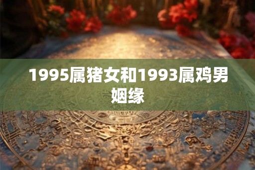 1995属猪女和1993属鸡男姻缘