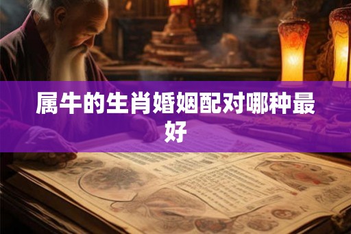 属牛的生肖婚姻配对哪种最好