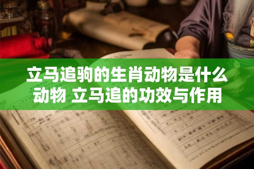 立马追驹的生肖动物是什么动物 立马追的功效与作用