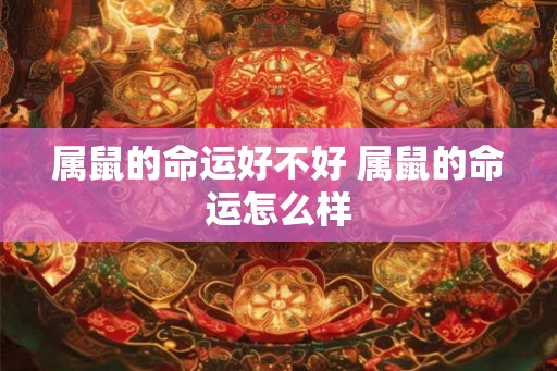属鼠的命运好不好 属鼠的命运怎么样