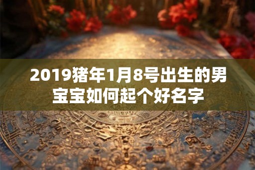 2019猪年1月8号出生的男宝宝如何起个好名字