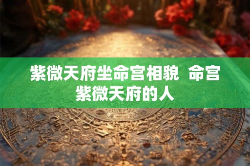 紫微天府坐命宫相貌  命宫紫微天府的人