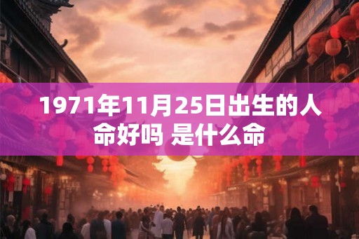 1971年11月25日出生的人命好吗 是什么命