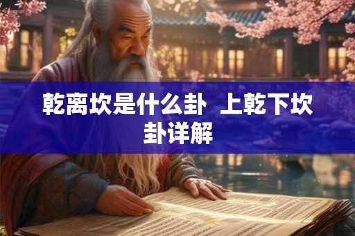 乾离坎是什么卦  上乾下坎卦详解