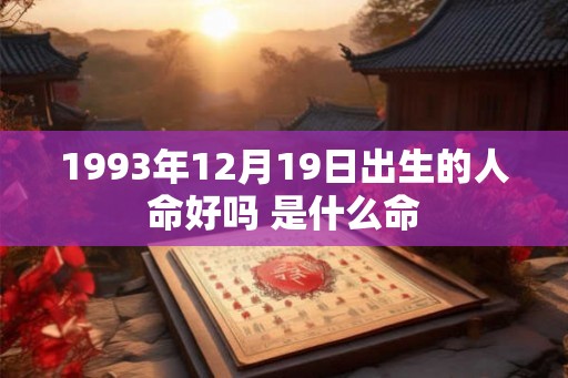 1993年12月19日出生的人命好吗 是什么命