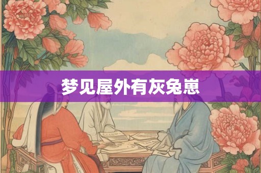 梦见屋外有灰兔崽