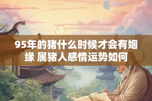 95年的猪什么时候才会有姻缘 属猪人感情运势如何