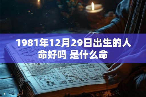1981年12月29日出生的人命好吗 是什么命