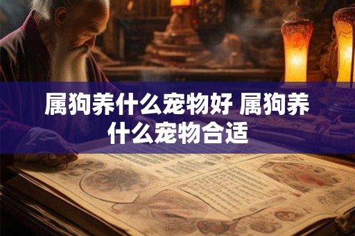 属狗养什么宠物好 属狗养什么宠物合适