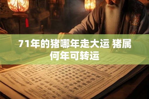 71年的猪哪年走大运 猪属何年可转运