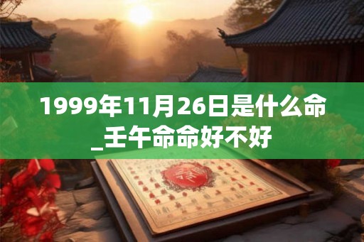 1999年11月26日是什么命_壬午命命好不好