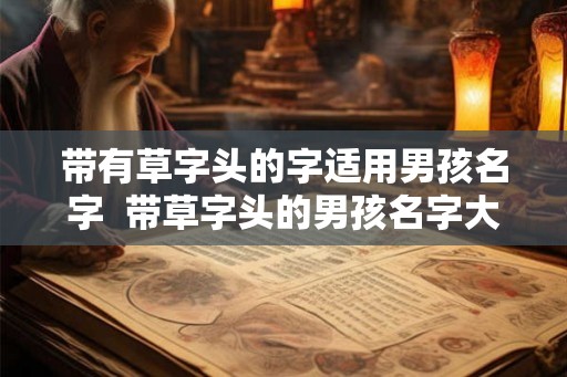 带有草字头的字适用男孩名字  带草字头的男孩名字大全