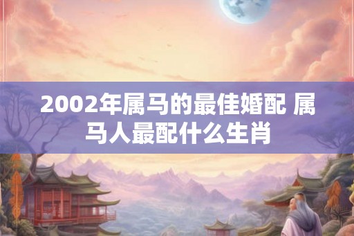 2002年属马的最佳婚配 属马人最配什么生肖