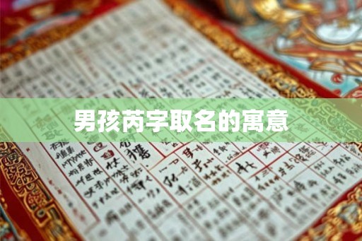 男孩芮字取名的寓意 男孩芮字取名的寓意