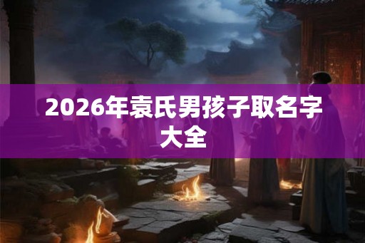 2026年袁氏男孩子取名字大全