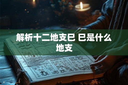 解析十二地支巳 巳是什么地支 解析十二地支巳 巳是什么地支