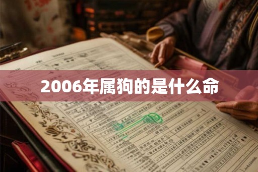 2006年属狗的是什么命