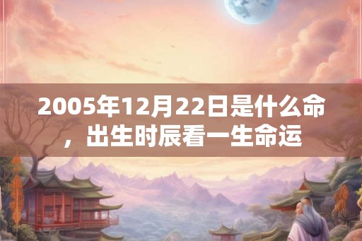 2005年12月22日是什么命，出生时辰看一生命运