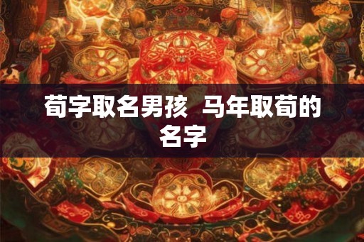 荀字取名男孩  马年取荀的名字