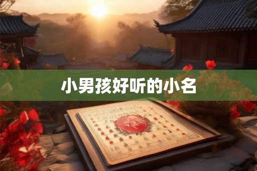 小男孩好听的小名