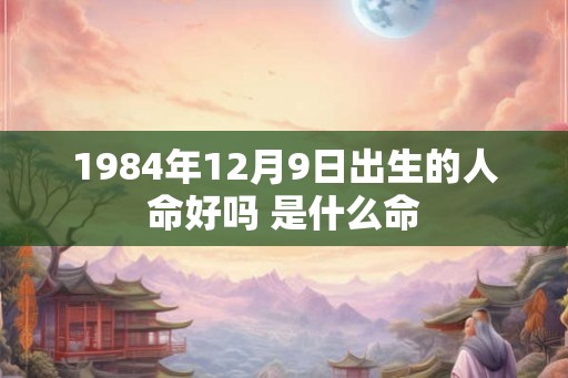 1984年12月9日出生的人命好吗 是什么命