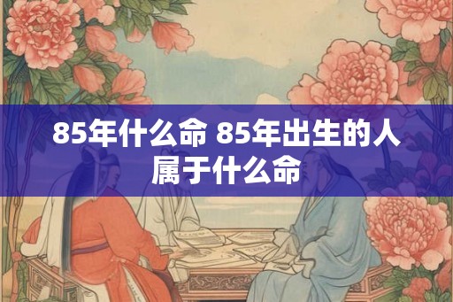 85年什么命 85年出生的人属于什么命