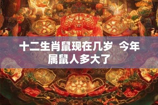 十二生肖鼠现在几岁  今年属鼠人多大了